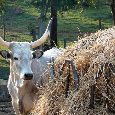 Alloggio per agriturismo Lidia - La Valentina *