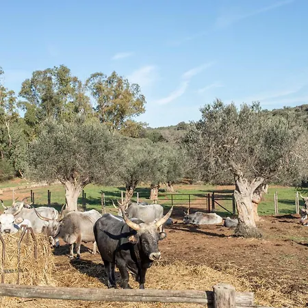 Lidia - La Valentina Alloggio per agriturismo Talamone